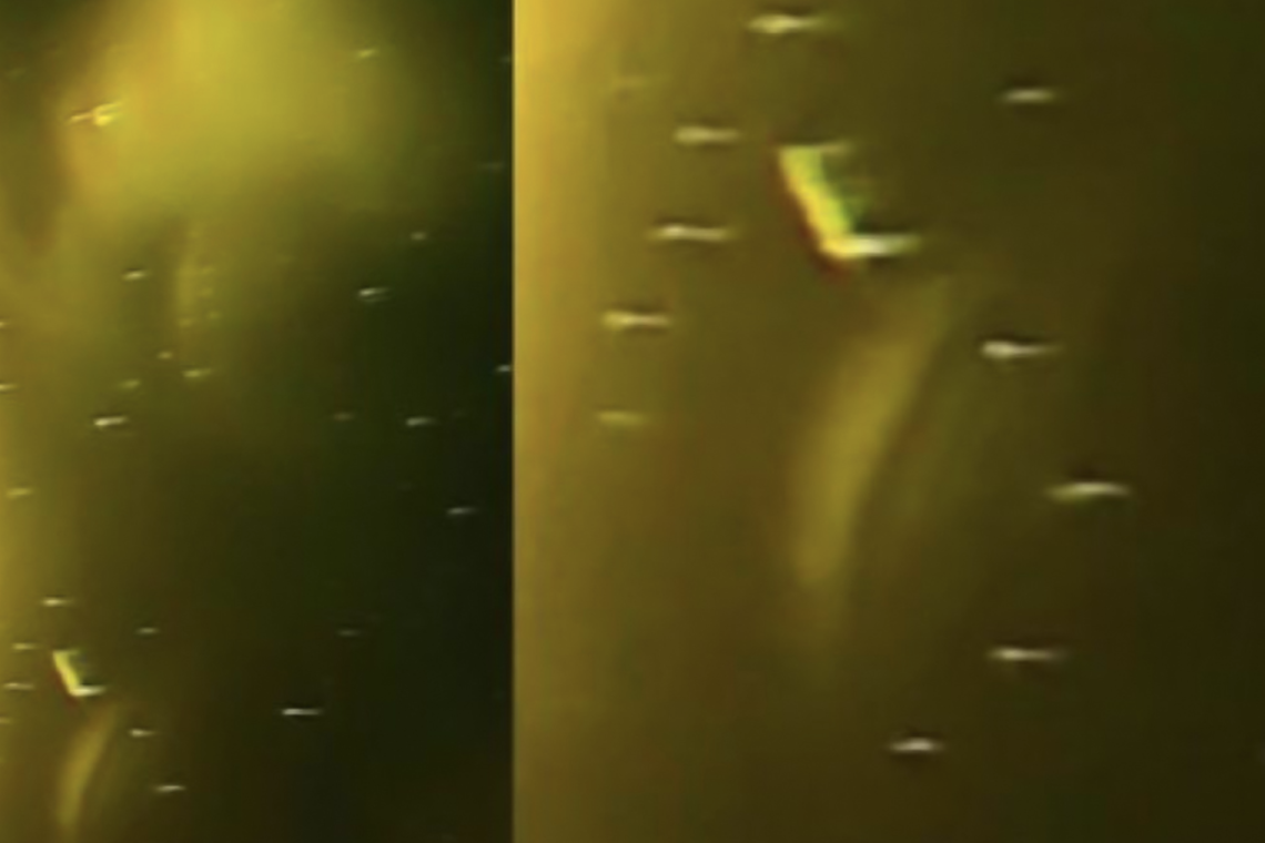 Huge Fleet Of UFOs Were Recorded Near The Sun (Video)