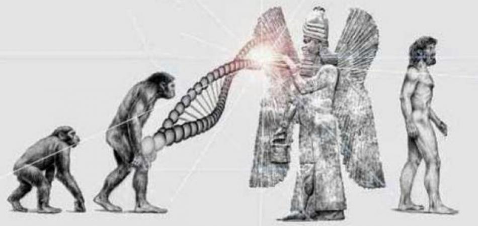 3 anunnaki created human dna