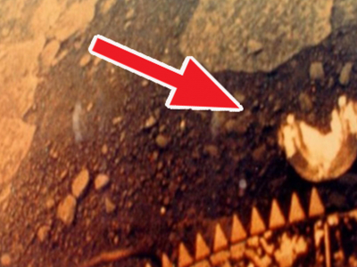 Russian Researchers Discovers a Creature on Venus